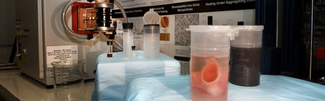 開(kāi)創(chuàng)性技術(shù)成功地重新保護(hù)了在非常低的溫度下保存的大規(guī)模組織